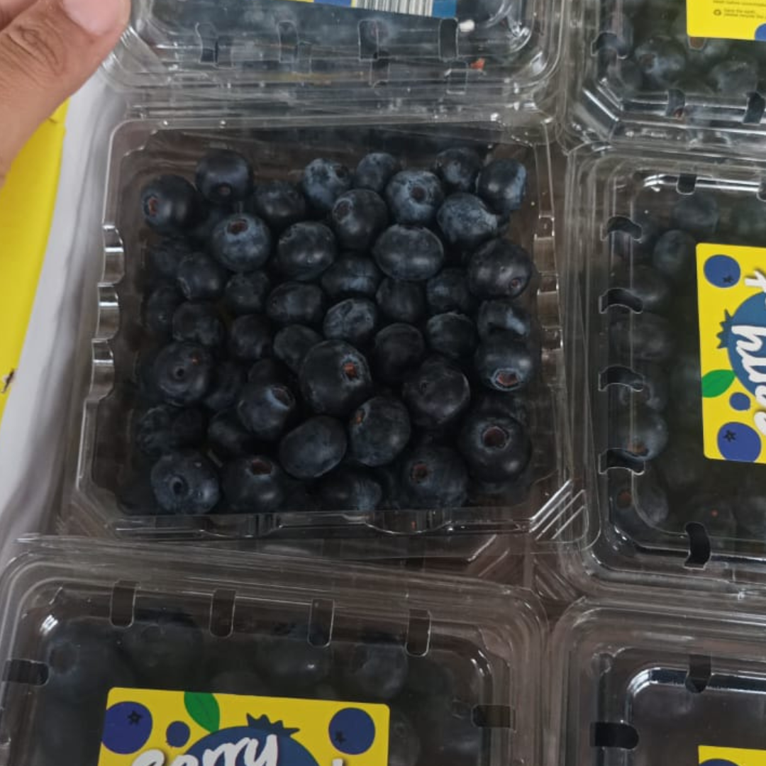 Blueberry Segar per pack Blueberry Buah Import Superfood Langka Pusat Buah Import Terlengkap Cikaran