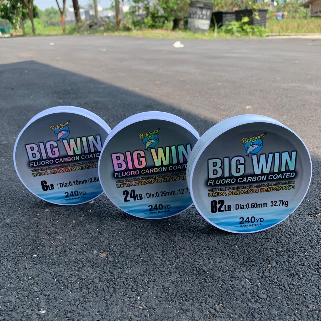 Senar NEPTUNA BIG WIN 240YD (220M) | Fluoro Carbon Coated