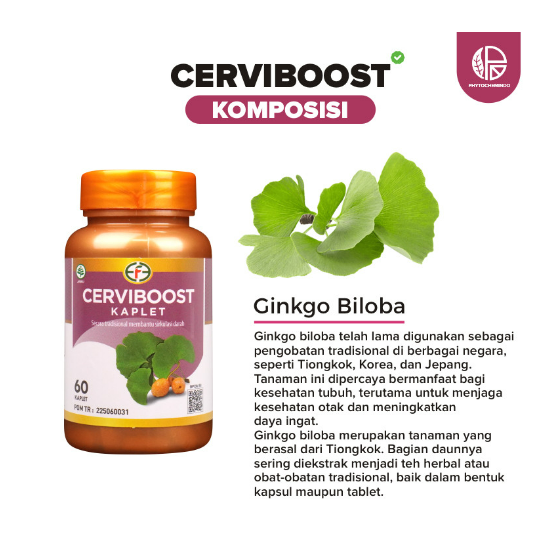 CERVIBOOST 60 KAPLET melancarkan sirkulasi darah ginko biloba herbal