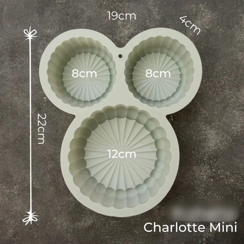 CHARLOTTE SILICON - MINI