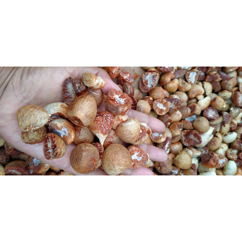 PINANG KERING - JAMBE KERING 1 KG