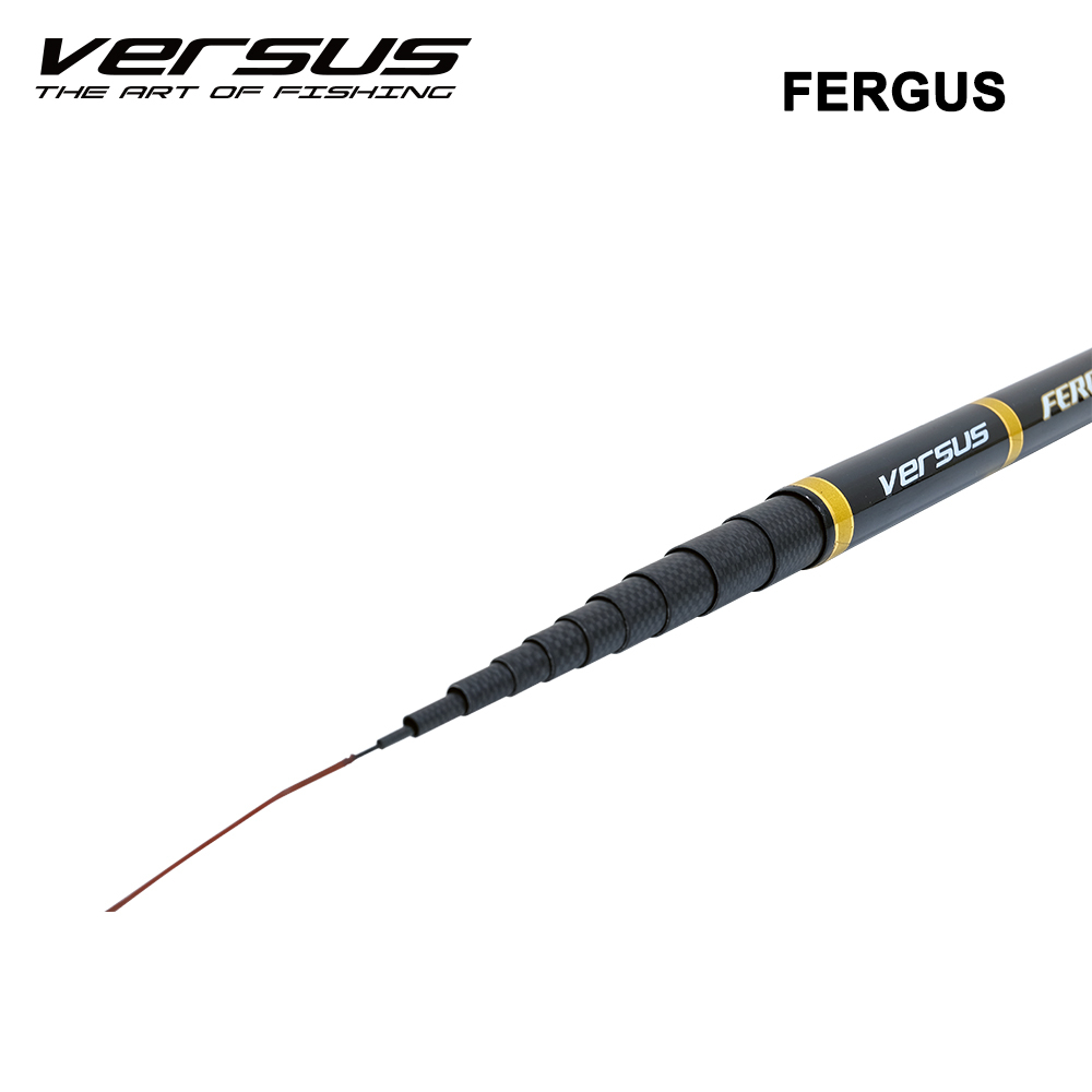 POLE / TEGEK VERSUS FERGUS