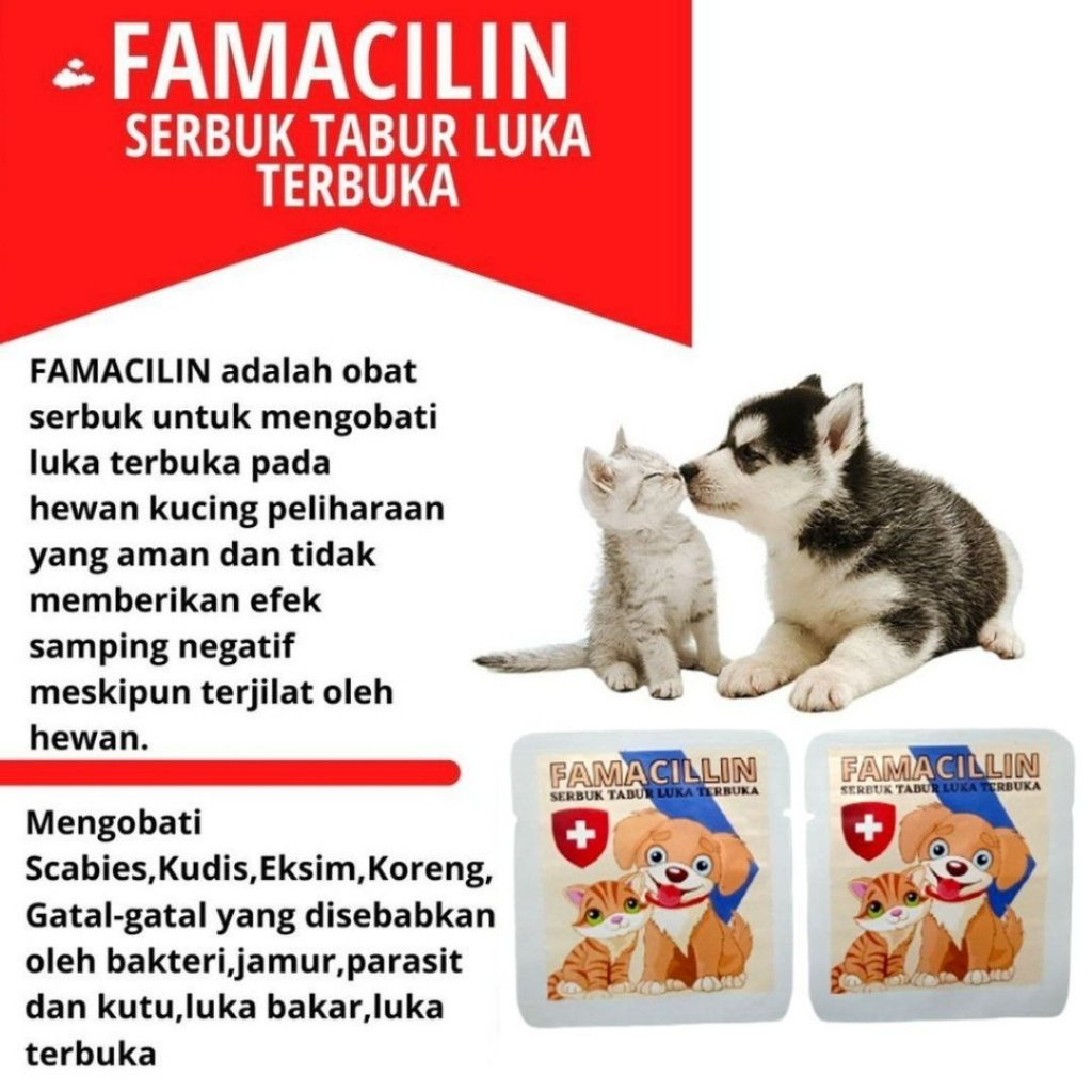 Famacillin Obat Kucing Luka Terbuka Infeksi Bernanah 10gram FEZONE