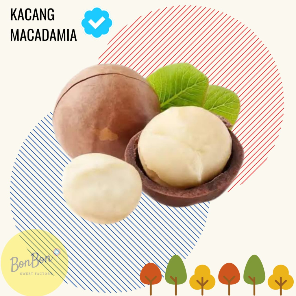 

Kacang Macadamia Panggang 500 Gr / Macadamia Roasted