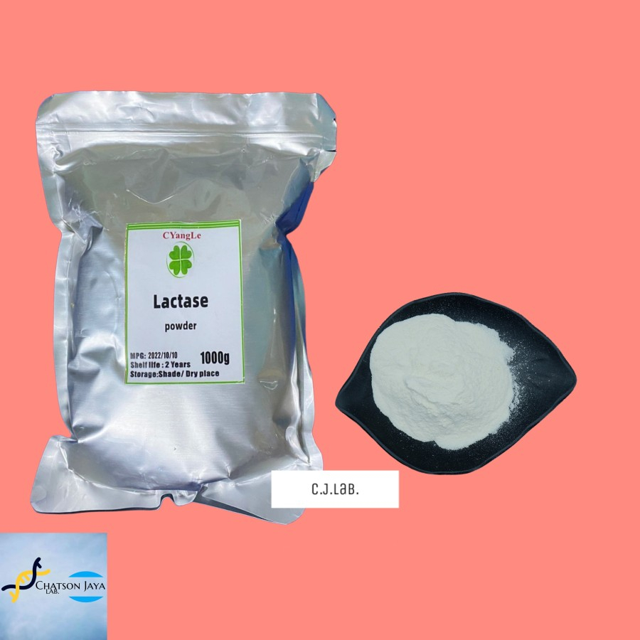 

Enzim Laktase Powder 70 gram Food Grade/ Lactase Enzyme Powder 70 gram