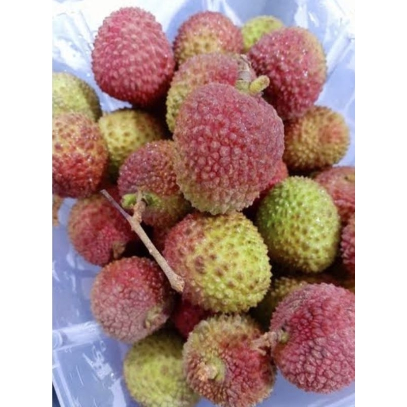 Leci Lychee Madu buah