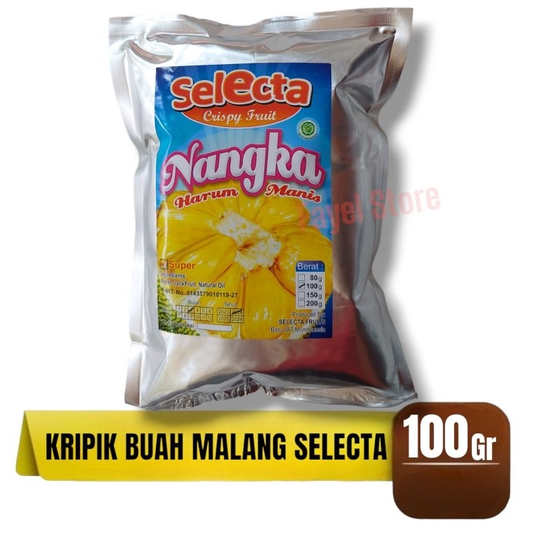 

Keripik Buah Nangka Apel Salak Nanas Khas Malang Selecta 100gr