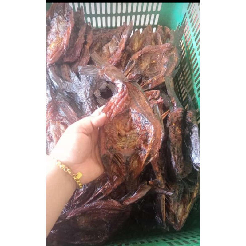 ikan salai baung sungai fres