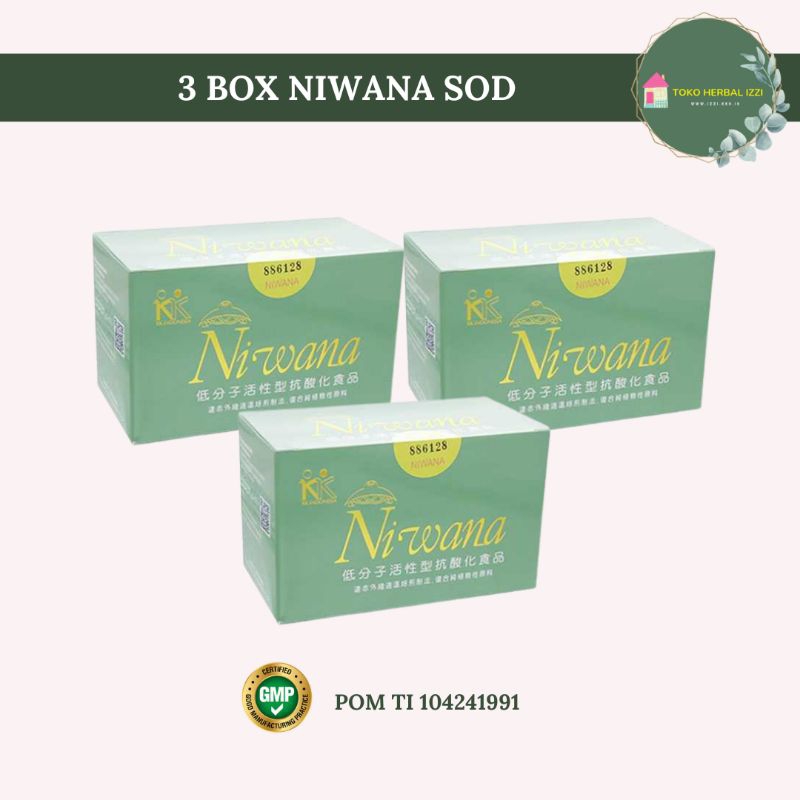 Obat Herbal Kanker dan Autoimun / Mengurangi Efek Samping Kemoterapi / Hemat isi 3 box @30 sachet Ni