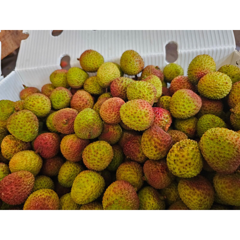 

Buah Leci manis | lyche daging tebal manis biji kecil 6,5 kg per keranjang