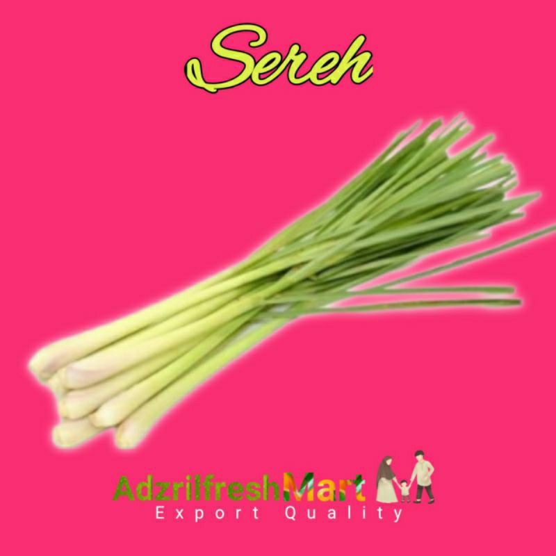 

SEREH SERAI WANGI FRESH