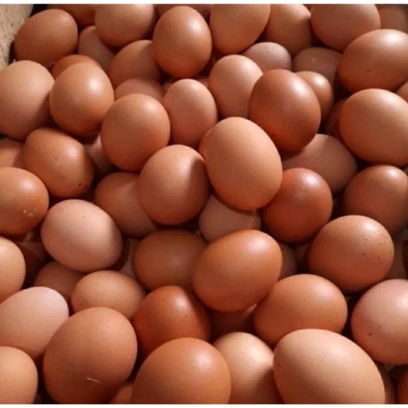 

telor ayam 1 papan / 1/2 papan