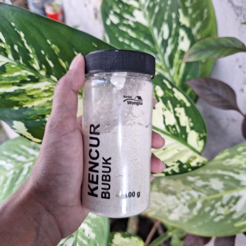 

kencur bubuk kedai wongso