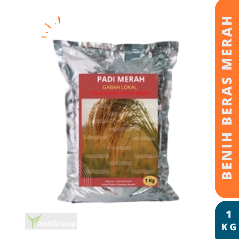 Benih Padi Beras Merah Padi Unggul 1Kg