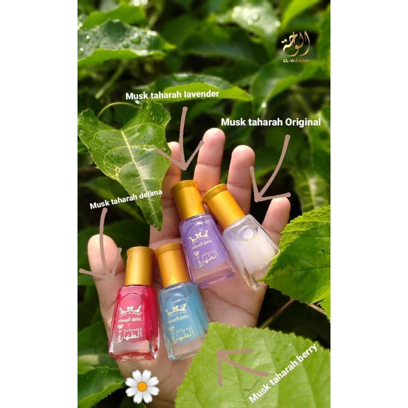 Hamil Al-Musk Thaharah Mesir Ori