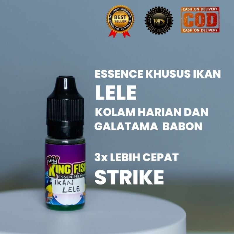 Essen Ikan Lele Galatama Dan Harian Paling Gacor