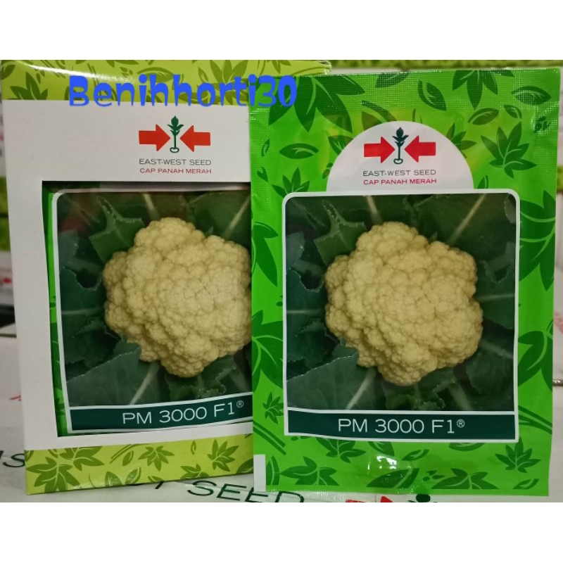 Benih Bunga Kol PM 3000 F1 isi 10 gram