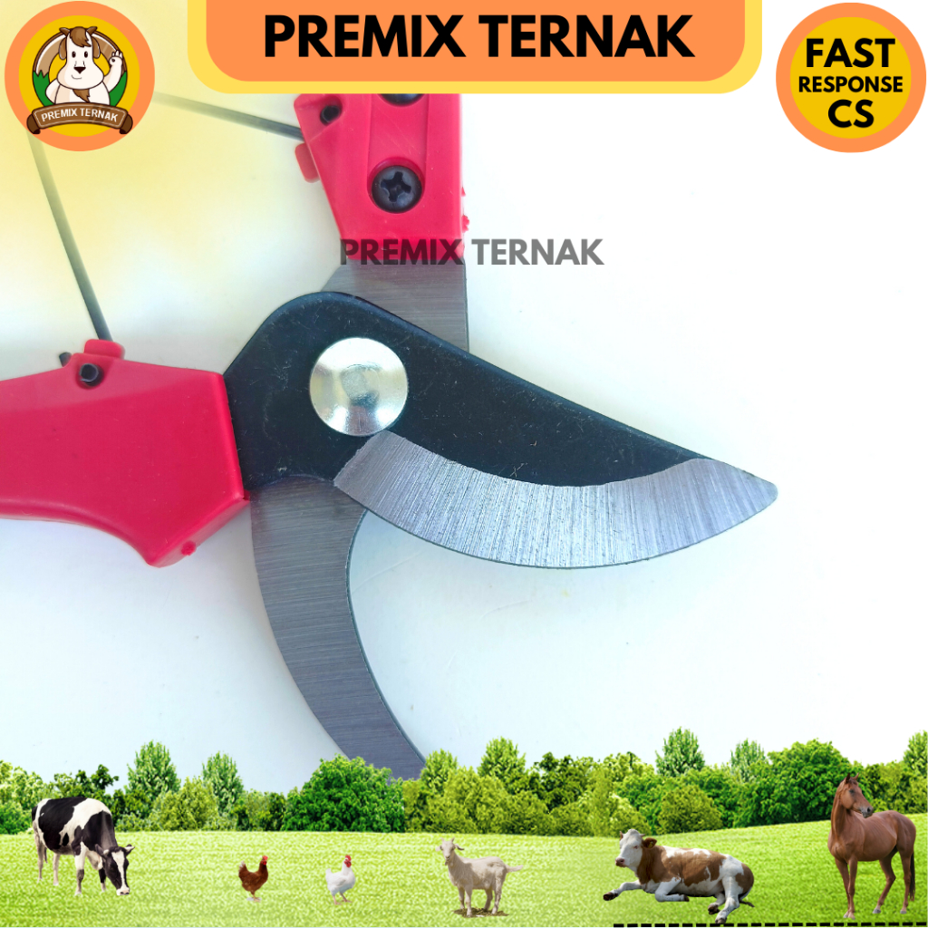 GUNTING KUKU KAMBING DOMBA MERAH - Sheep Nail Clippers - Premixternak