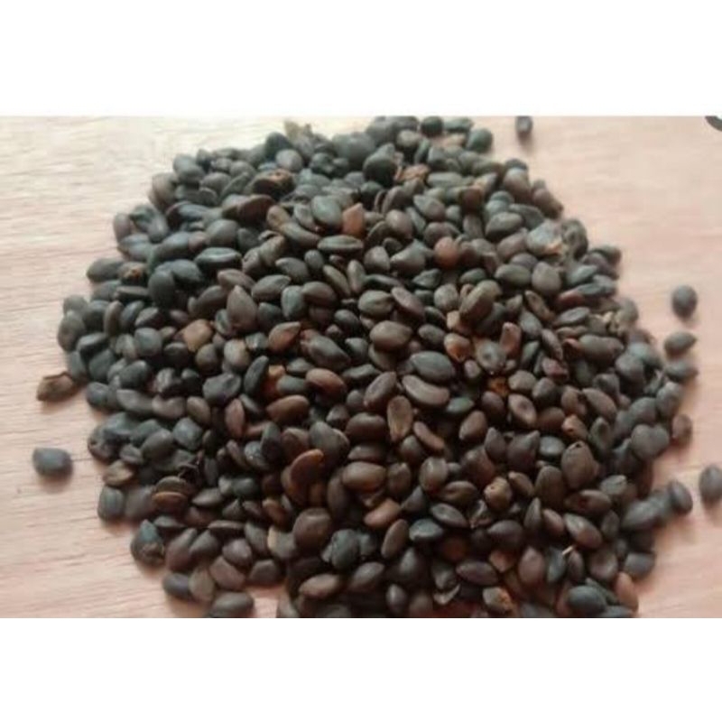

biji benih kaliandra merah 100 gram