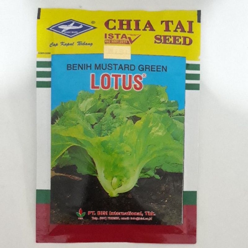 Sawi pahit lotus 50 gr mustard green lotus untuk sawi asin