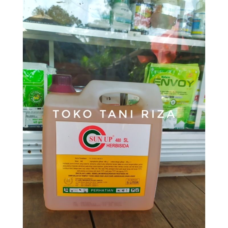 HERBISIDA SUN UP 48 SL KEMASAN 5 LITER