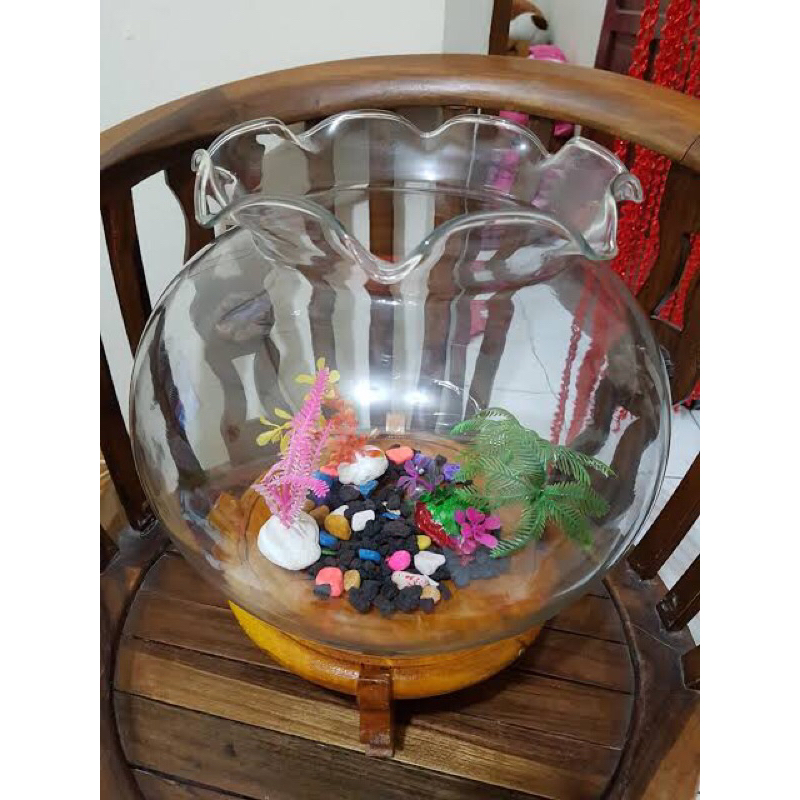 Aquarium Kaca Bulat Toples Fish Bowl 1.5L 2L 3.5L 4L 7L 12L 15L 19L