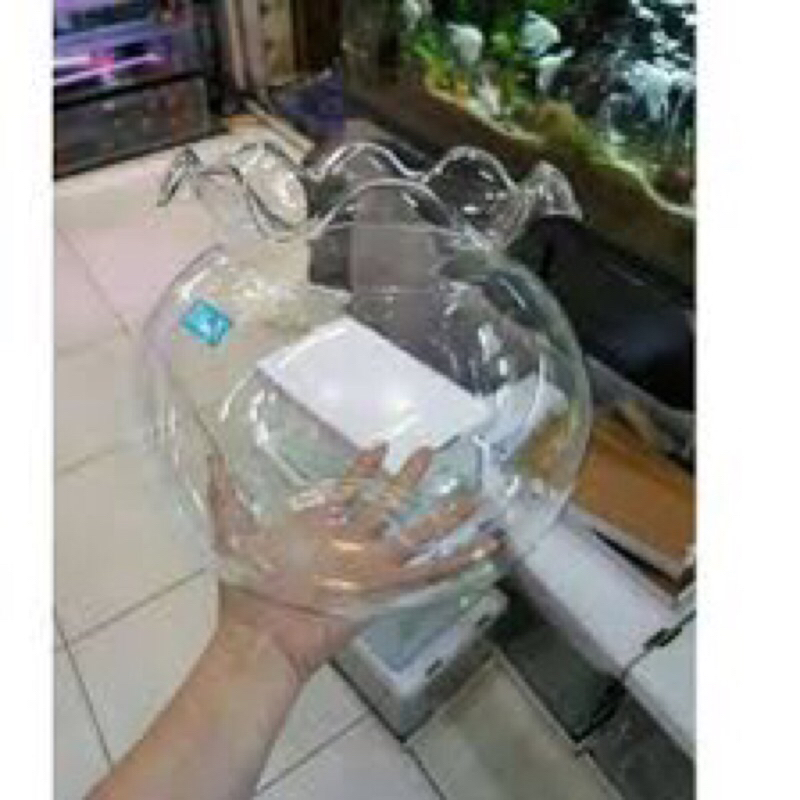 Aquarium Kaca Bulat Toples Fish Bowl 1.5L 2L 3.5L 4L 7L 12L 15L 19L