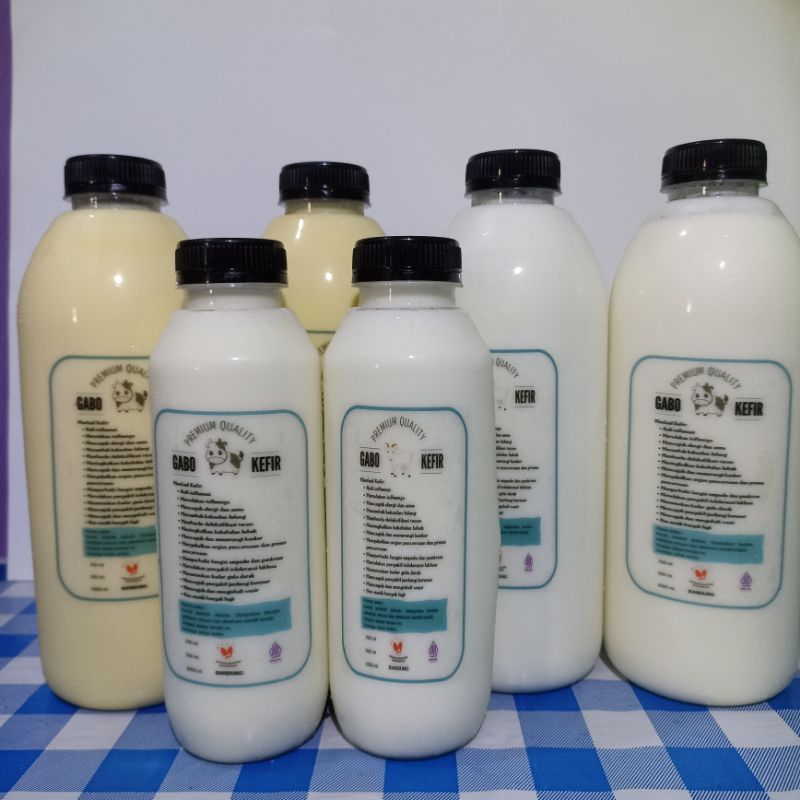 

Kefir Susu fermentasi Sapi / kambing dan kefir kolostrum