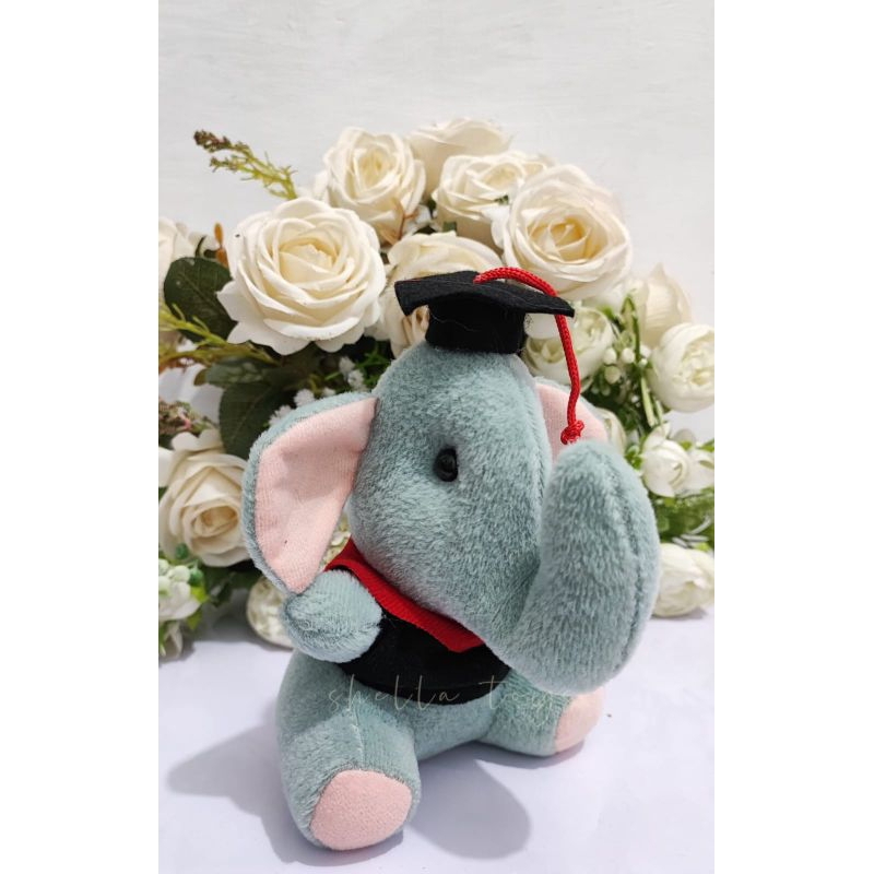 BEAR TOGA / BEAR BUKET TINGGI 15CM