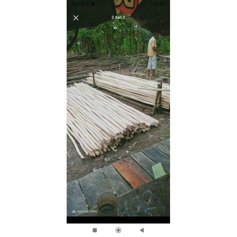 kayu akasia dolken 2/3/200