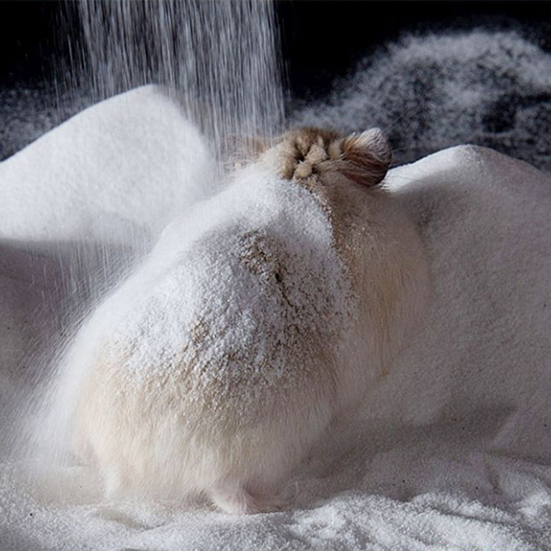 TOSAND Bathing Sand Pasir Mandi Hamster 500GR Pasir Mandi Hewan Peliharaan Kecil - Pasir Silika Alami