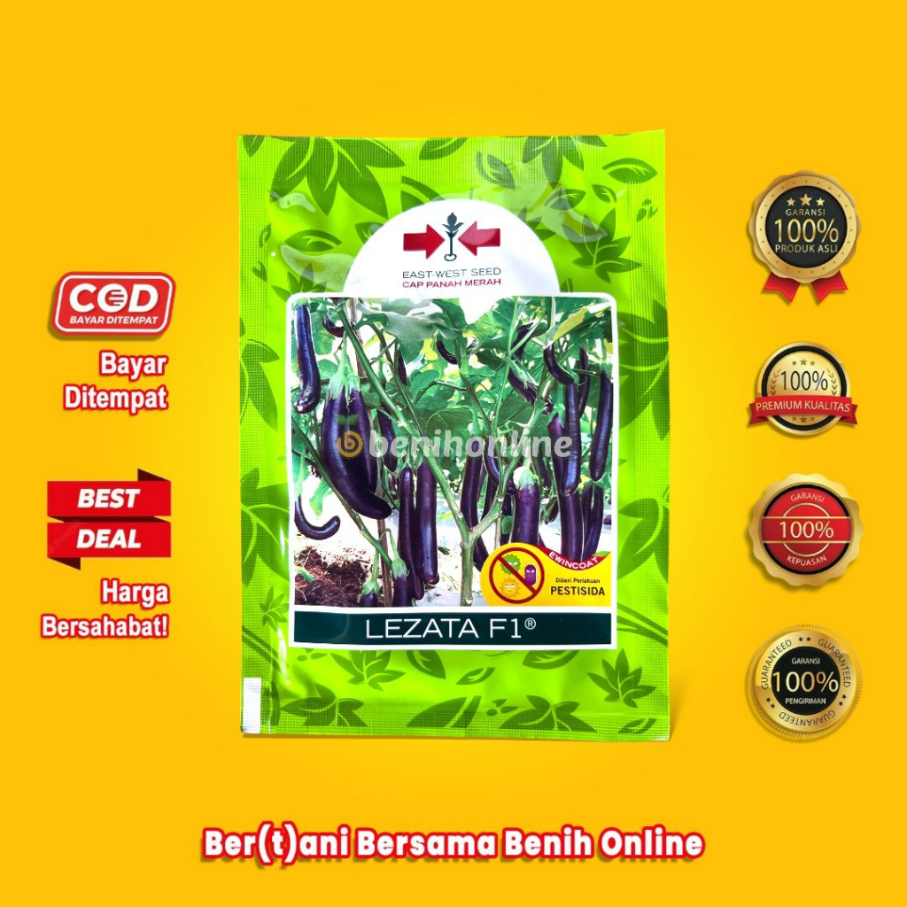 BENIH TERONG UNGU - LEZATA F1