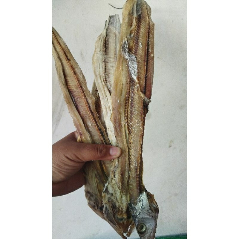 

IKAN ASIN LAYUR BELAH ASLI PACITAN