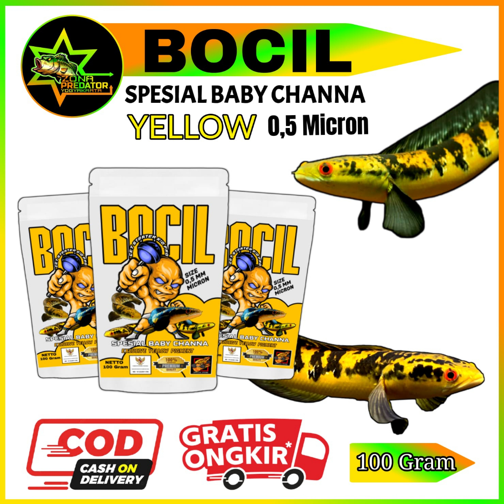 PELET BOCIL YELLOW Pelet Baby Channa 100 gram ORIGINAL