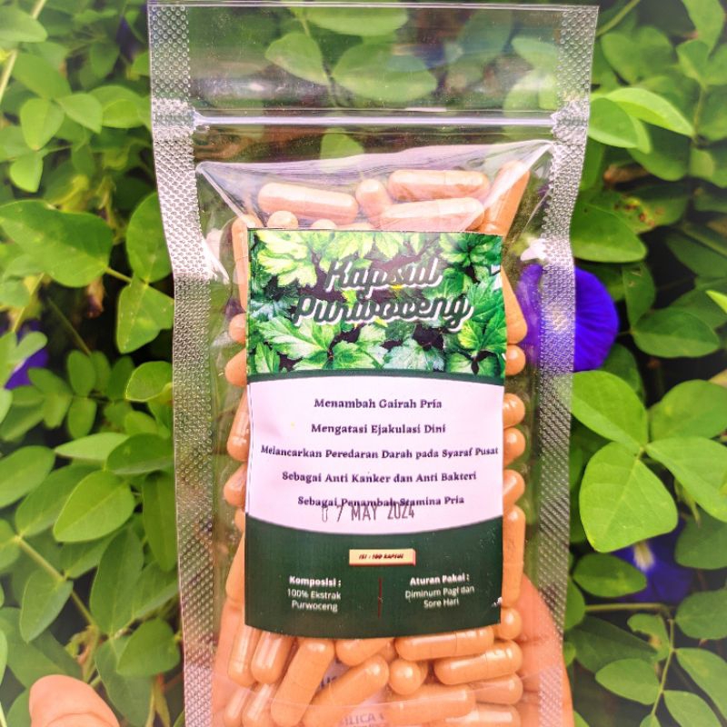 Kapsul Purwoceng (isi 100) Jamu Jerbal