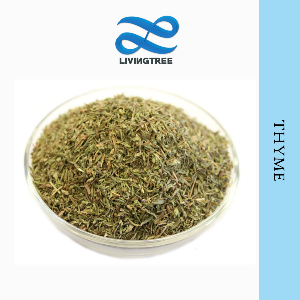 

Mamacia Treats Daun Thyme / Thyme Leaves Bumbu Daun Rempah 18 gr