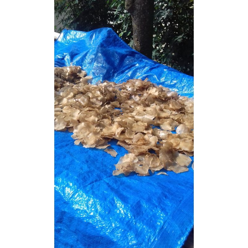 

Kerupuk Kaca Khas Madura