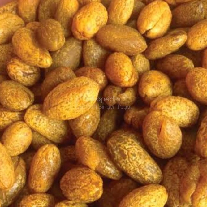 

Manisan Buah Kanasih