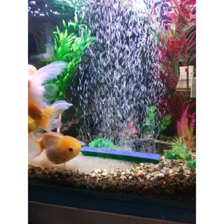 Batu aerasi panjang, batu aerator panjang, batu gelembung aquarium panjang, batu panjang aerasi, bat