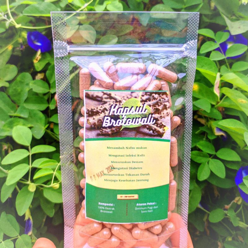 Kapsul Brotowali Isi 100 kapsul (obat gatal ori)