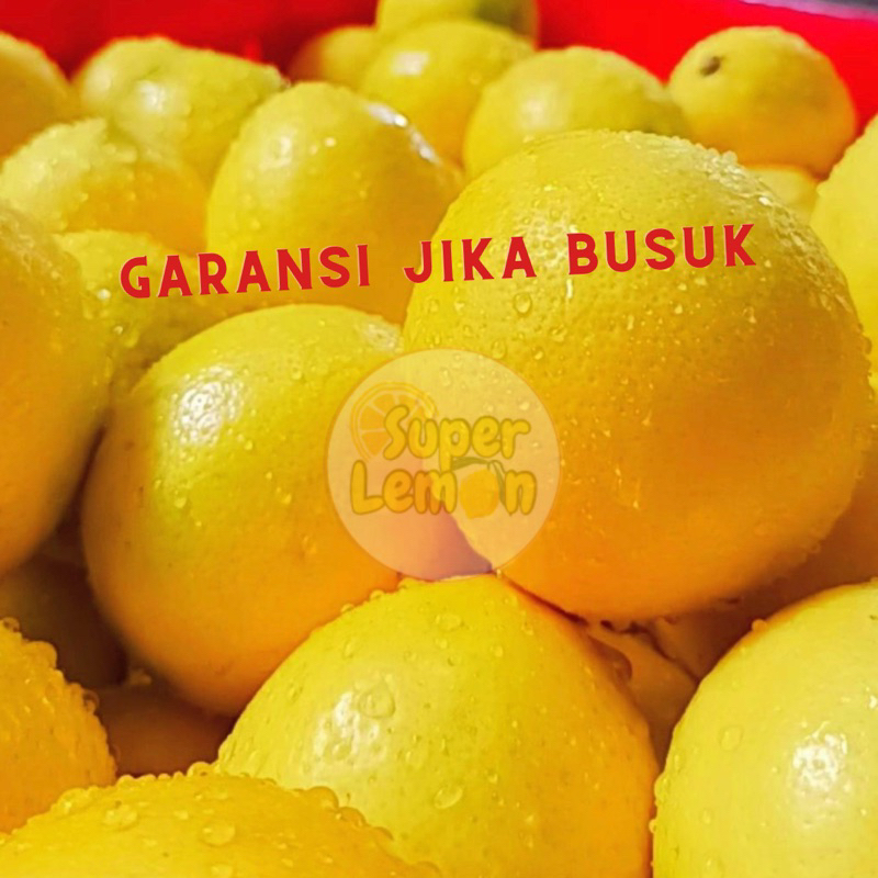 

Jeruk Lemon California Grade Super 1kg by Super Lemon