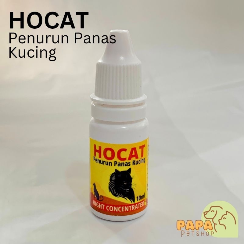 Hocat Penurun Panas Kucing Demam
