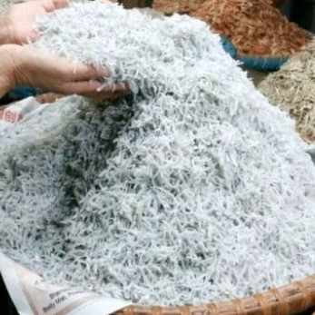 

ikan teri medan teri nasi tanpa obat tanpa pengawet teri medan terbaru