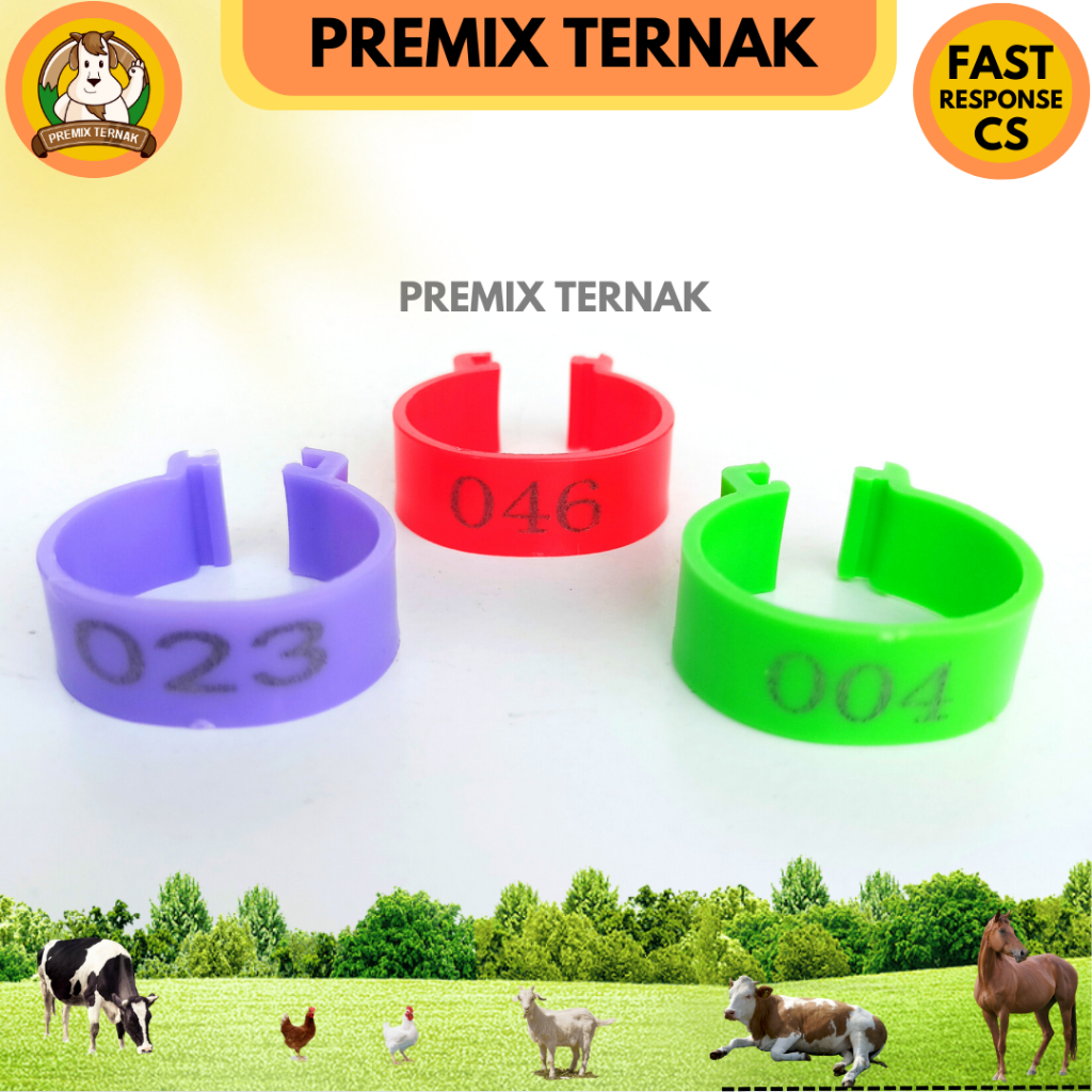 Gelang Kaki Ayam Bebek Adjustable Kecil Bernomor 1 Pcs