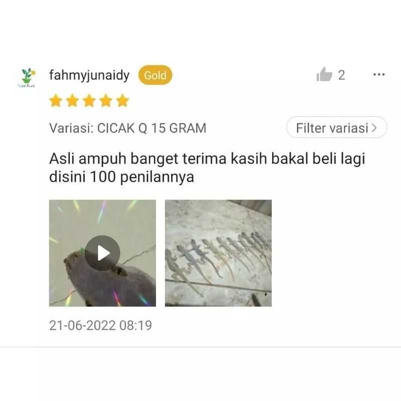 CICAK-Q 15gram - Racun Cicak - Racak CICAK Q CICAKQ CICAKKU