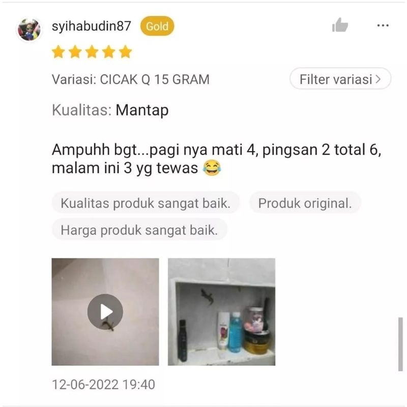 CICAK-Q 15gram - Racun Cicak - Racak CICAK Q CICAKQ CICAKKU