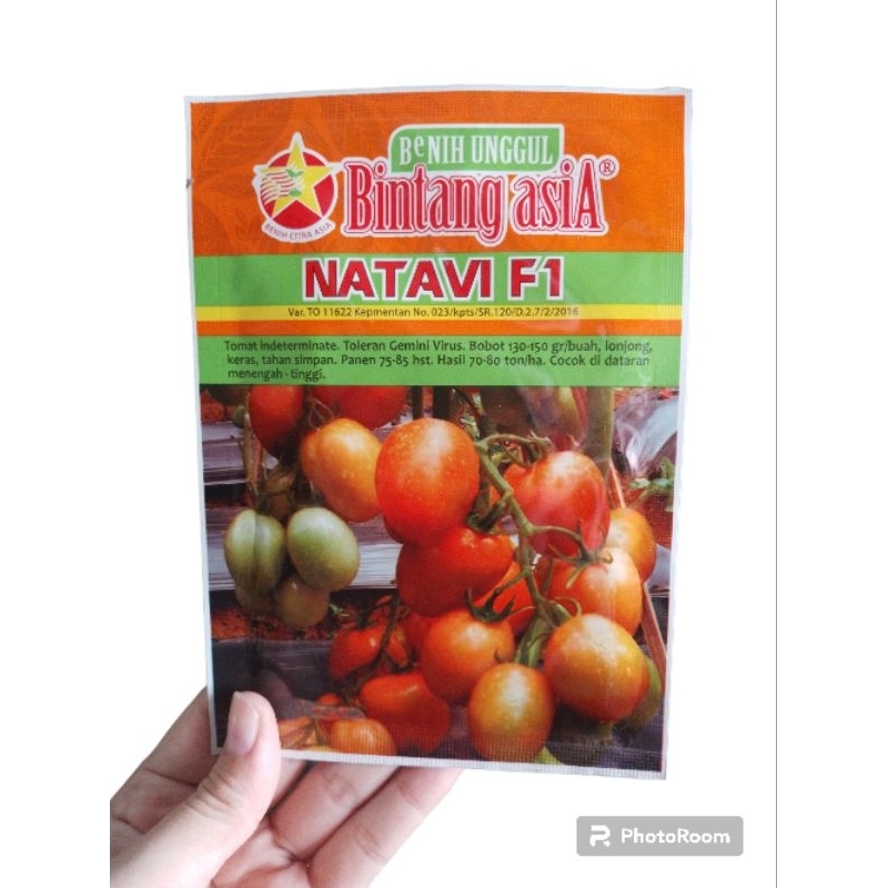 benih tomat unggul NATAVI f1 isi 10 grm