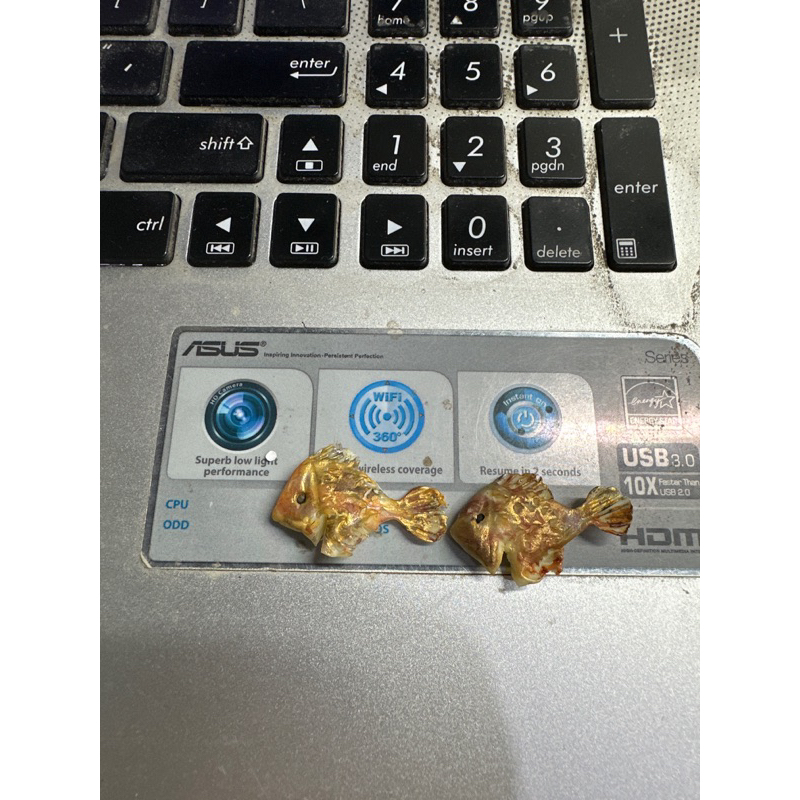 miniatur ikan goreng