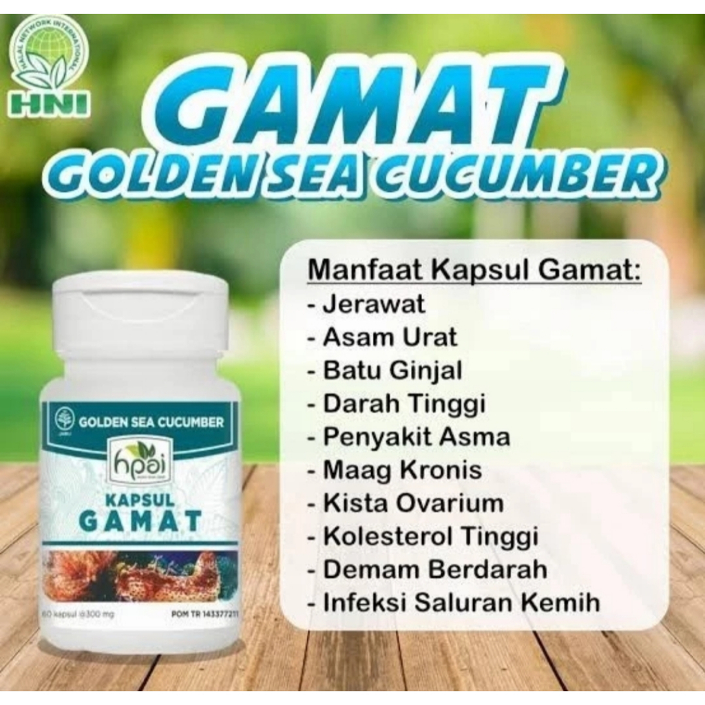 Gamat Kapsul isi 60 kapsul Original HNI HPAI - Teripang Emas