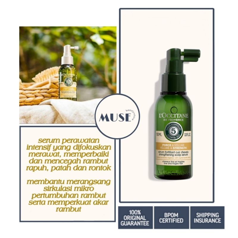 Loccitane Volume &amp; Strength Scalp Cont Essence Serum 100ml / Aromachologie 5 Essential Oils